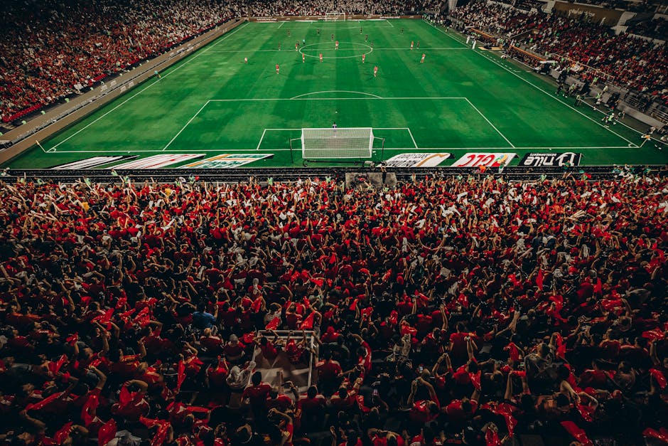 Football stadium crowd