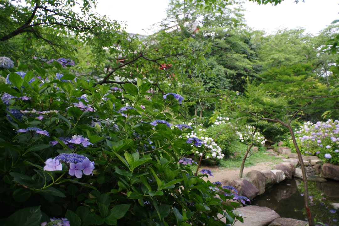 garden tools equipment