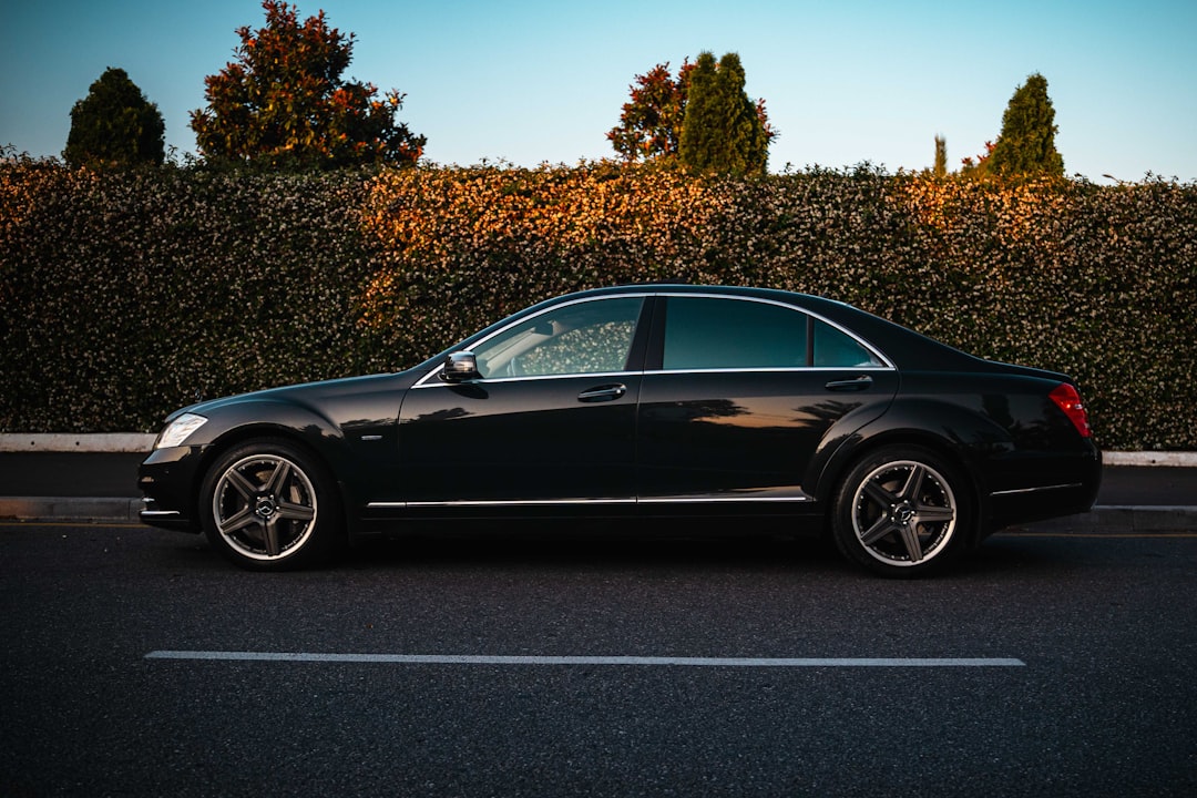 Professional chauffeur service