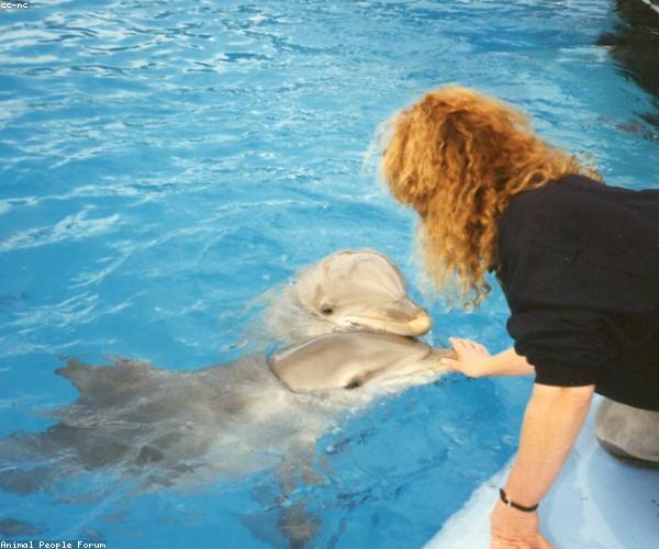Pet swimming