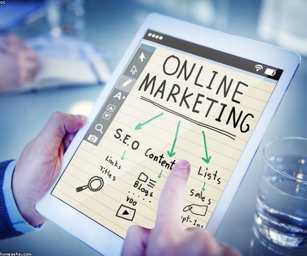 Website Design and Development