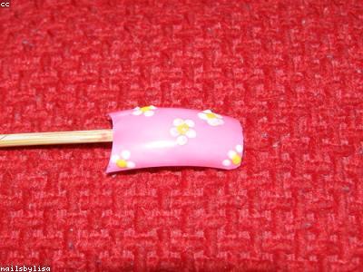 Bespoke Nail Extensions