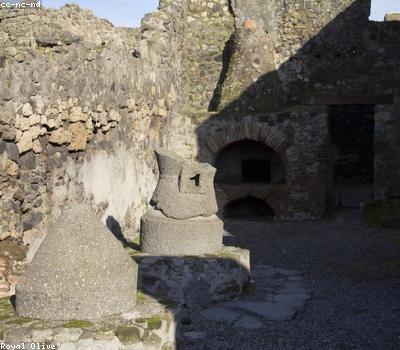 Pizza nel forno