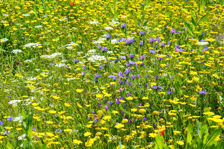 Wildflower Mix